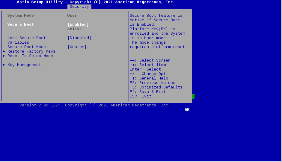 Aptio Setup Utility Bios