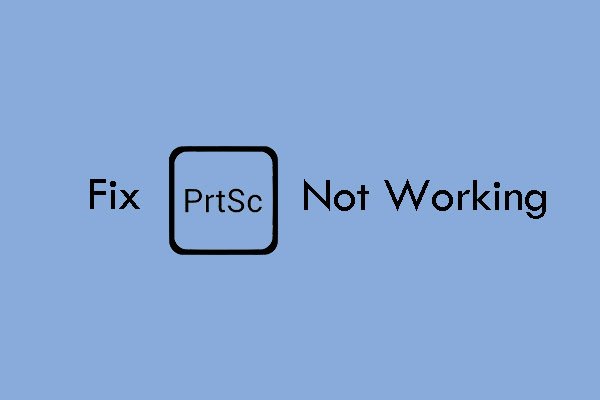 Windows 11 Print Screen Not Working