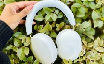 Bose Speaker Not Charging Heres How To Fix It