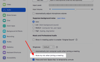 Can You Mute Someone On Zoom Without Being The Host