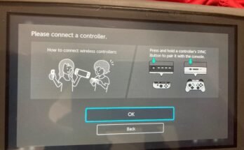 Can You Use Switch Lite As A Controller