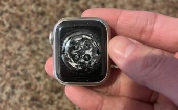 Does Applecare Cover A Lost Watch