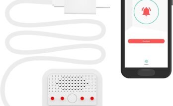 Does Google Home Alarm Work Without Wifi