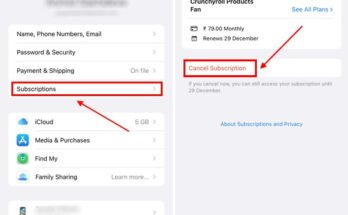 How To Cancel Crunchyroll Free Trial