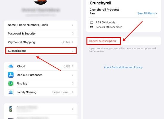 How To Cancel Crunchyroll Free Trial