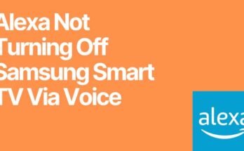 How To Fix Alexa Not Turning On