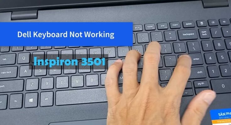 How To Fix Arrow Keys Not Working On Dell Laptop