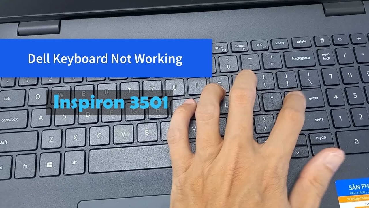 How to fix arrow keys not working on dell laptop quick solutions