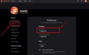 How To Switch To Dub On Crunchyroll