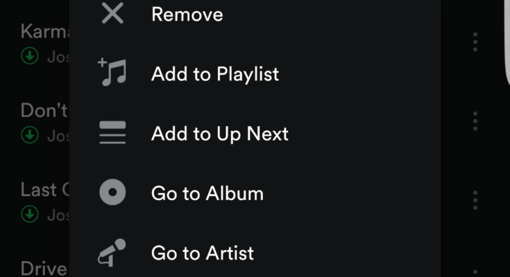 How To Undownload Songs On Spotify