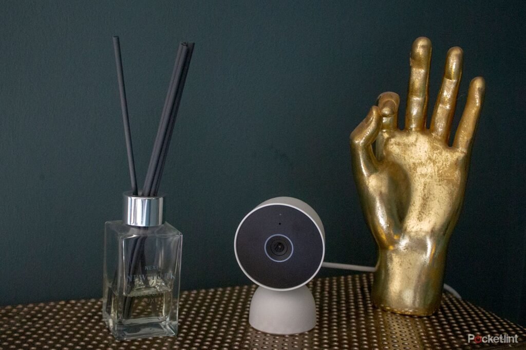 How To View My Nest Camera On A Computer