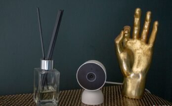 How To View My Nest Camera On A Computer