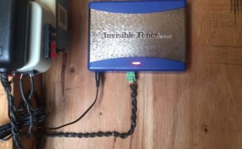 Invisible Fence Troubleshooting