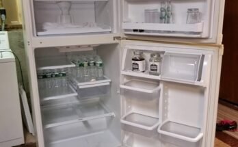 Kenmore Coldspot Refrigerator Model 106 Troubleshooting