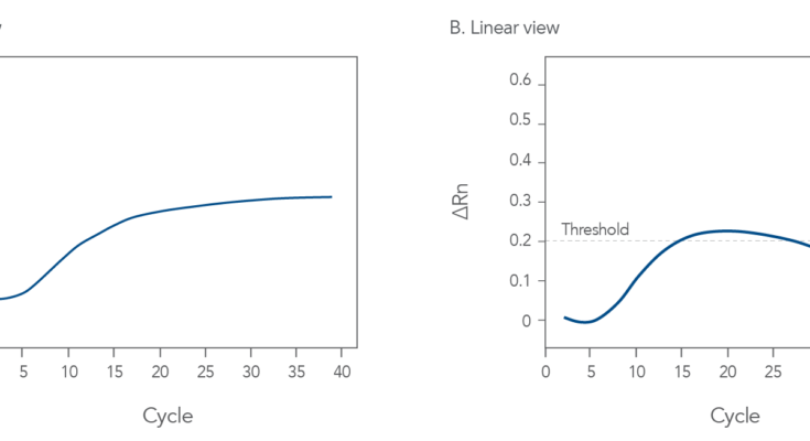 Qpcr Troubleshooting