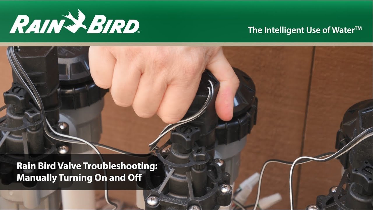 Rain Bird Sprinkler System Troubleshooting: Expert Tips & Solutions