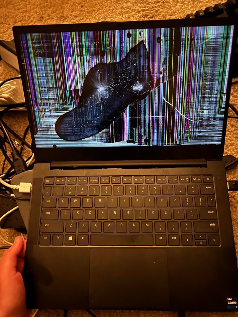 Razer Blade Stealth 13 Troubleshooting