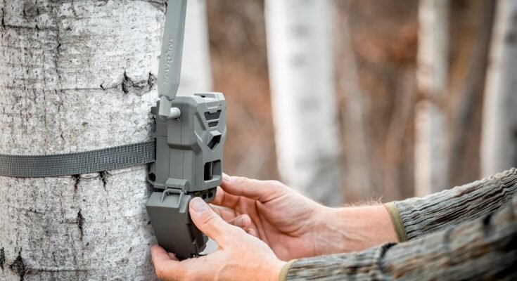 Spypoint Flex Troubleshooting