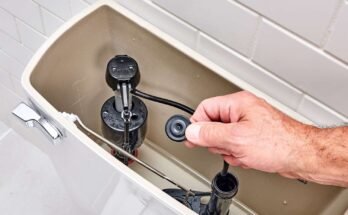 Toilet Troubleshooting Fill Valve