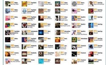 What Channel Is The Music Channel On Directv