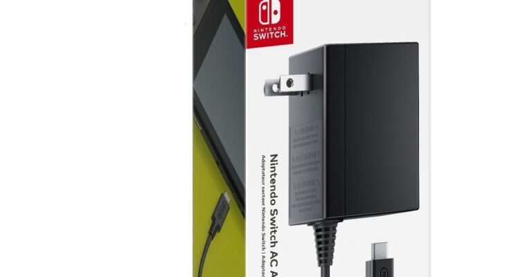 What Type Of Charger Does The Nintendo Switch Use