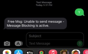 Why Does It Say Message Blocking Is Active On Iphone