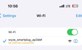 Why Does My Wyze Plug Keep Blinking