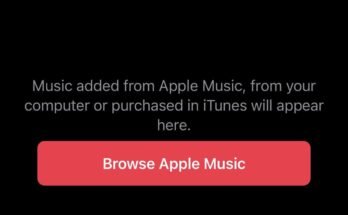 Why Has All My Apple Music Disappeared