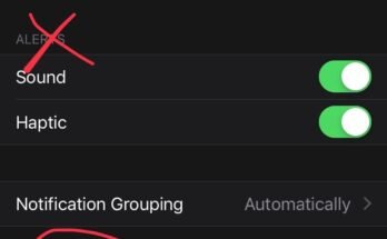 Why Is My Apple Watch Vibrating But Not Showing Notifications Answered