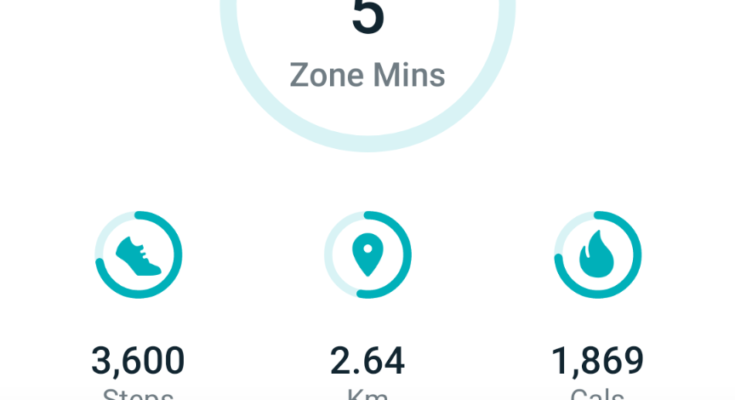 Why Is My Fitbit Battery Draining So Fast