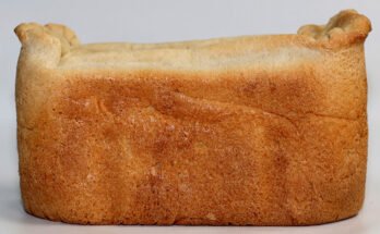 Zojirushi Bread Machine Troubleshooting