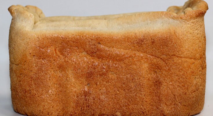 Zojirushi Bread Machine Troubleshooting