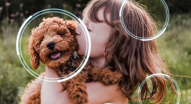 Best OLED TV Under $1000